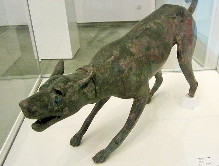 青铜的狗在拉巴特考古博物馆