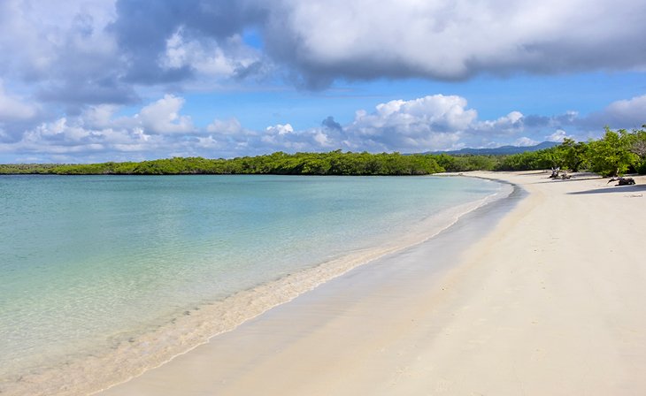 美丽的沙滩托尔图加湾在圣克鲁斯，加拉帕戈斯群岛