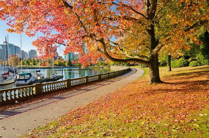 斯坦利公园小径上的秋色