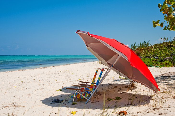 伞和沙滩椅在巴克的国家公园海滩