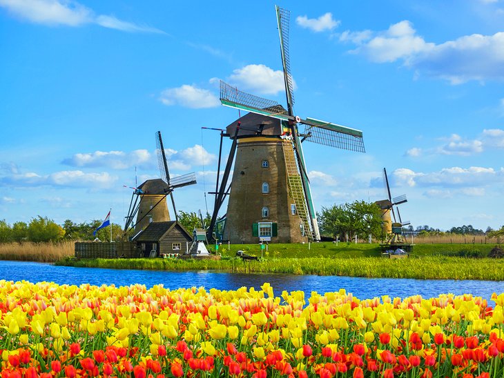 荷兰的经典春天景象