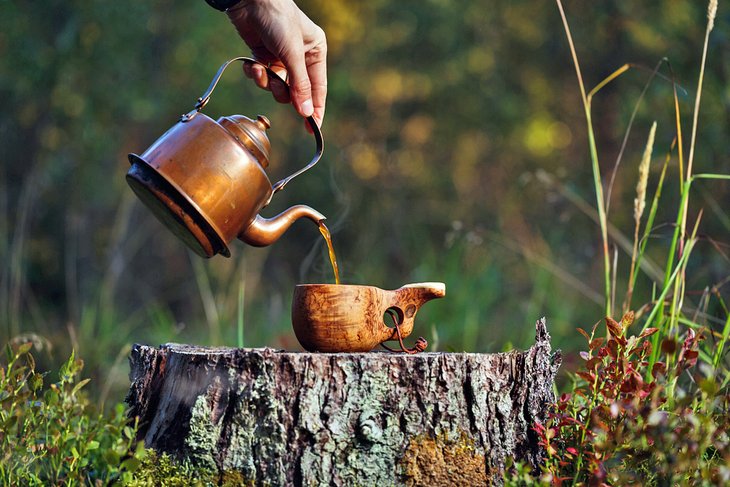 旧茶壶在森林里