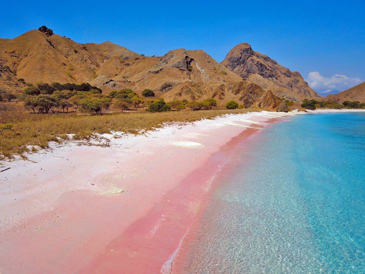 粉红色的沙滩在科莫多岛