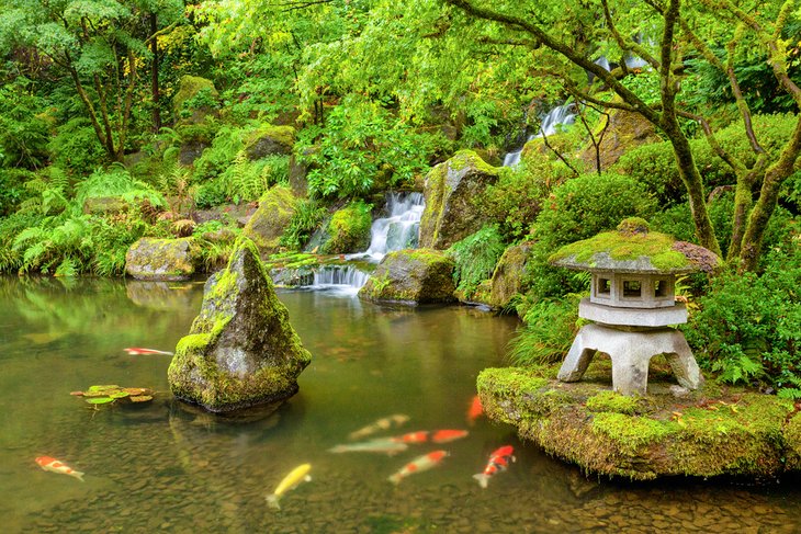 华盛顿公园的波特兰日本花园