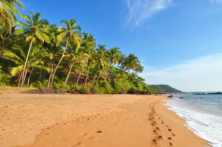 印度果阿的热带海滩