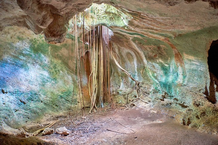 巴拉德罗生态公园的安布罗西亚洞穴