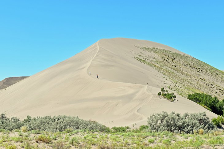 沙丘徒步小径