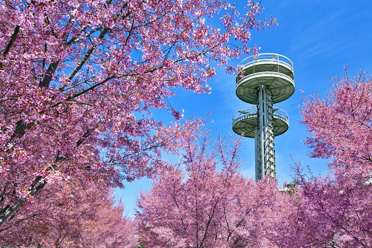 塔的纽约州馆在樱花在法拉盛草原-日冕公园