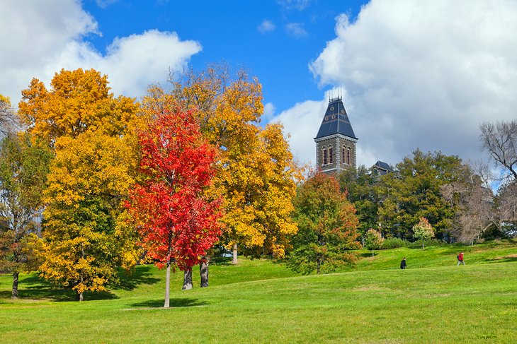 秋天的颜色在伊萨卡康奈尔大学