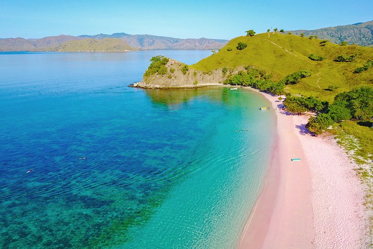 科莫多岛的粉红海滩