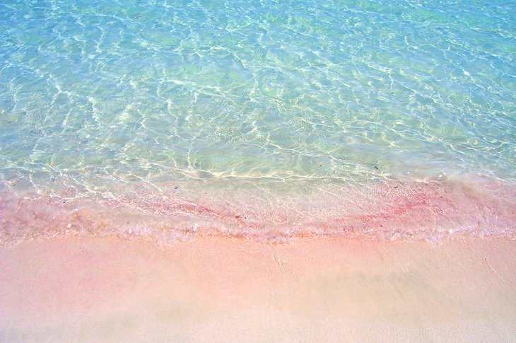 Playa de ses Illetes的粉红色沙滩和清澈的水
