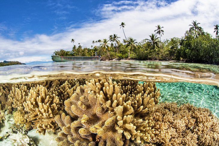 所罗门群岛的珊瑚礁