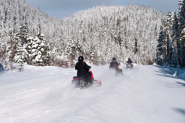 在加拿大玩雪地摩托车
