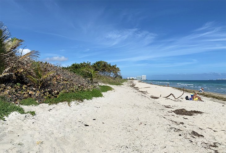 冯·d·米泽尔-尤拉·约翰逊博士州立公园的海滩