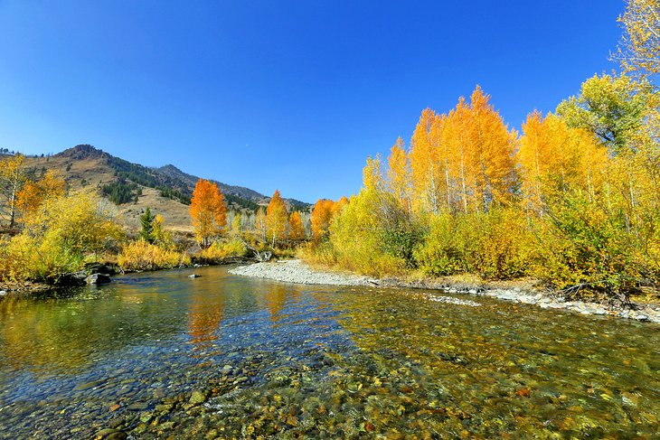 爱达荷州太阳谷的大伍德河上的秋色