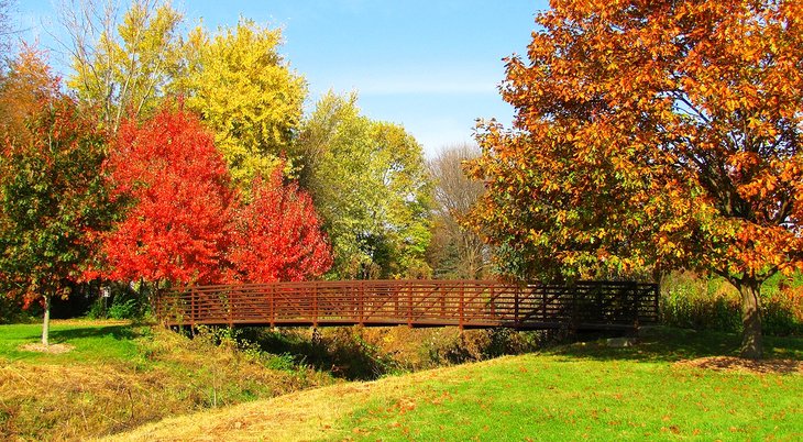 秋天的颜色在爱荷华州