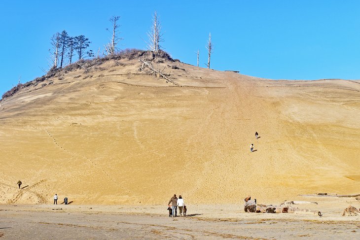 基旺达角的沙丘