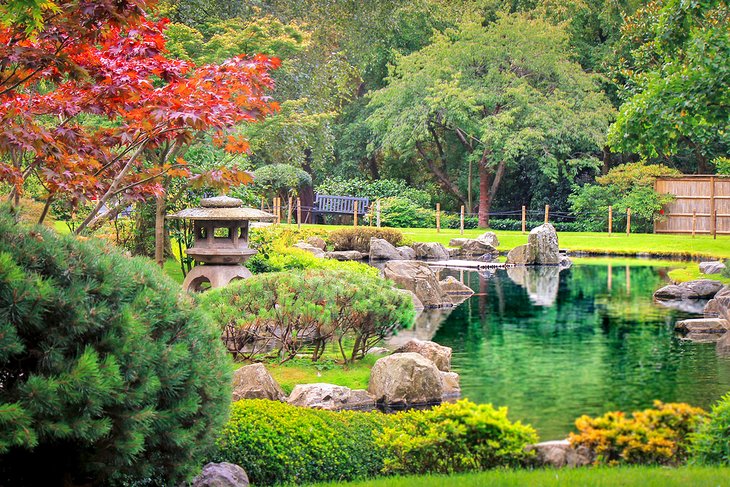 日本京都花园在荷兰公园