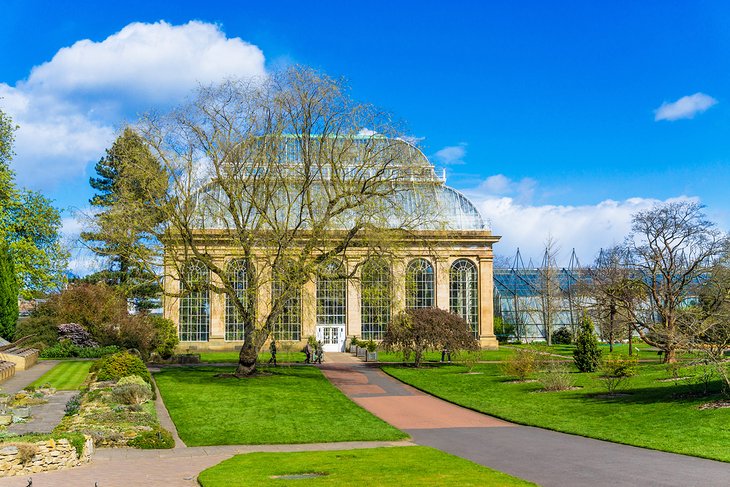 爱丁堡皇家植物园温室