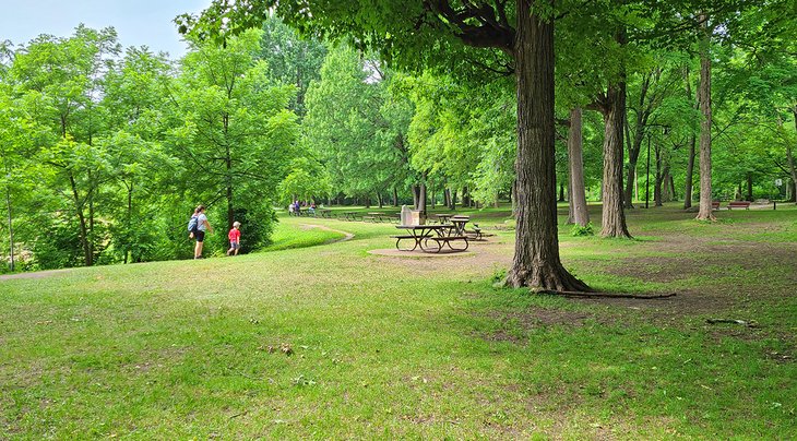 安吉尼翁公园的野餐桌和小径