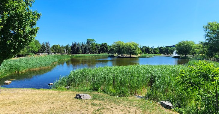 杰瑞公园的湖和喷泉