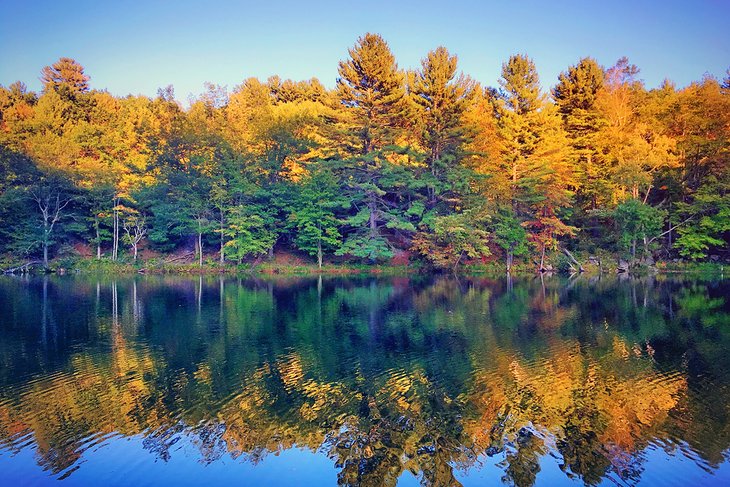 黑岩州立公园的秋天色彩