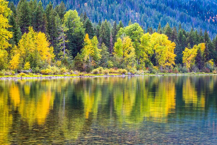 奥卡诺根-韦纳奇国家森林的秋天色彩