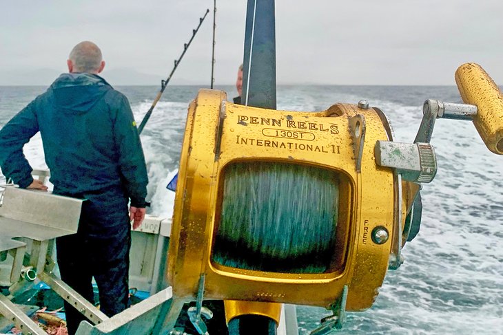 在爱尔兰的鱼竿和鱼线的蓝鳍金枪鱼