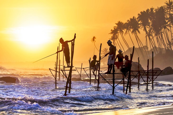 斯里兰卡的高跷渔民
