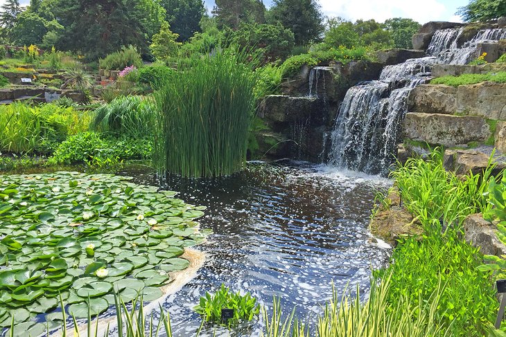 瀑布在英国皇家植物园