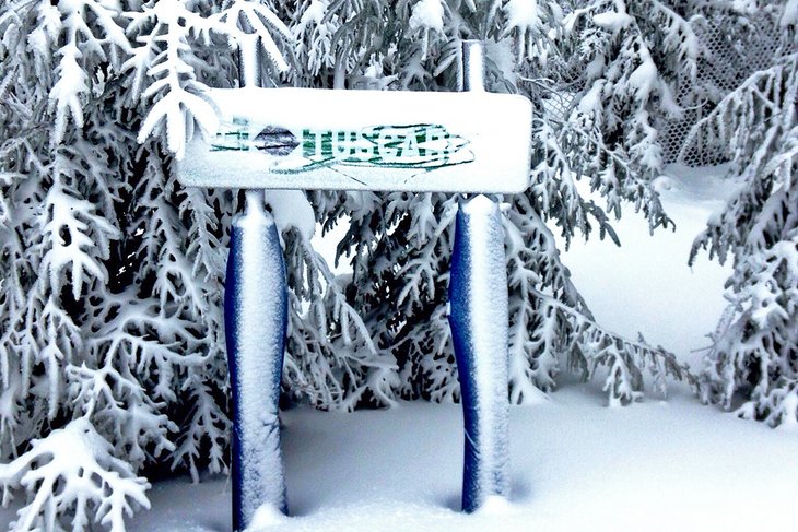 白雪覆盖的小径在麋鹿高山滑雪胜地签字