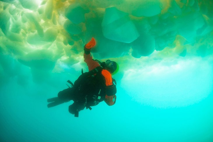 格陵兰岛冰川下的冰潜水