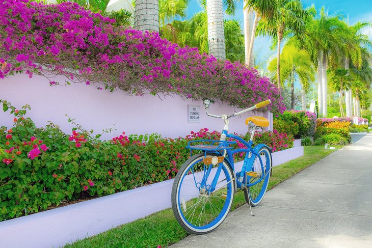 自行车在开曼群岛