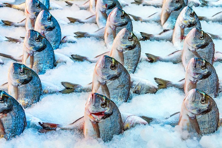 鱼以Varvakios集市市场