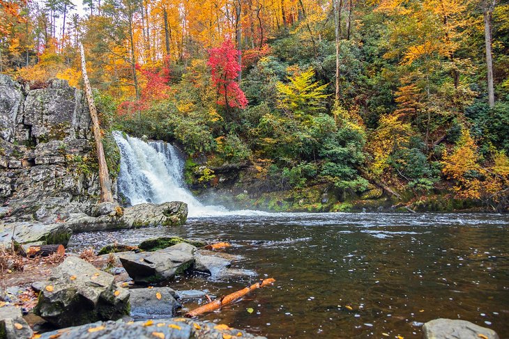艾布拉姆斯瀑布被秋天的色彩所包围
