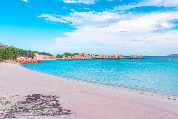 撒丁岛布德利岛的Spiaggia Rosa(粉红海滩)
