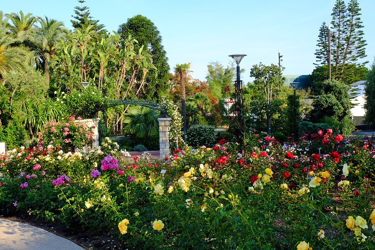 玫瑰园是摩纳哥王妃格蕾丝
