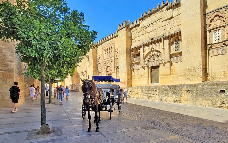 马和carriage at the Mezquita
