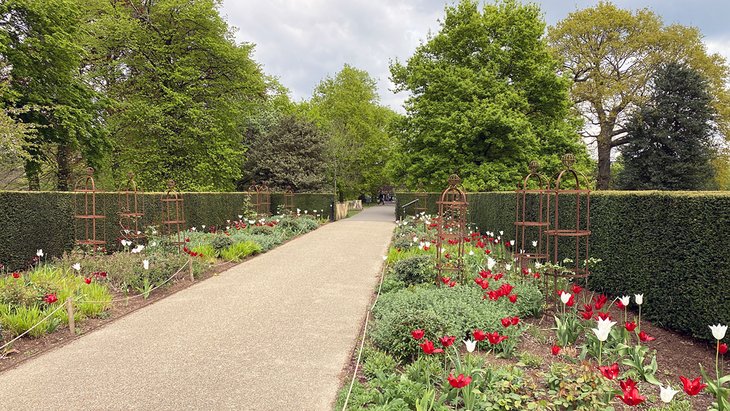 玫瑰花园，格林威治皇家公园