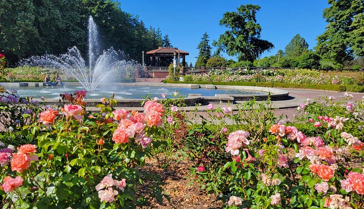 玫瑰花园喷泉半岛公园