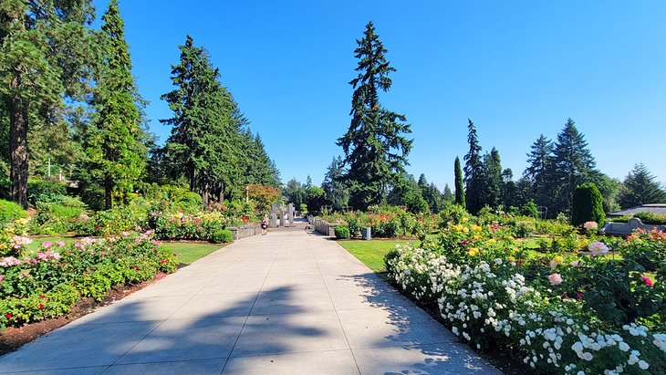 波特兰国际玫瑰测试花园,华盛顿公园