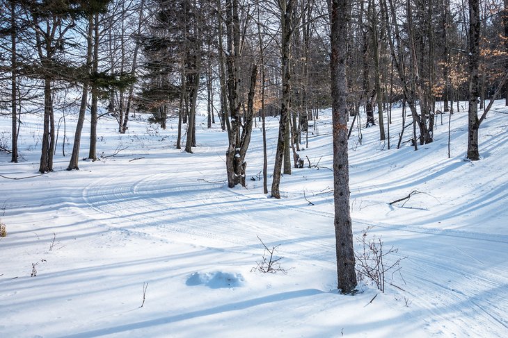 森林中的滑雪道