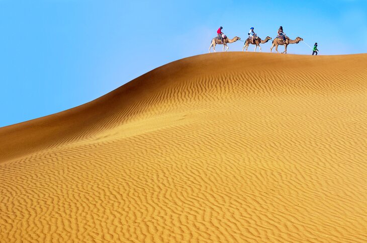 旅行Erg切比骆驼,摩洛哥