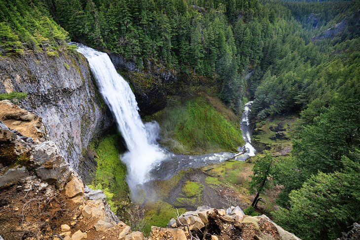 俄勒冈州威拉米特国家森林的盐溪瀑布