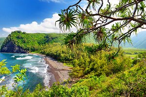 夏威夷大岛的11个最佳徒步旅行